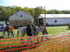 pony_rides.JPG (115382 bytes)