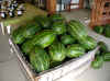 watermellons.JPG (103087 bytes)